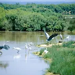Bordeaux Sud - By Ihg 4* بيساك