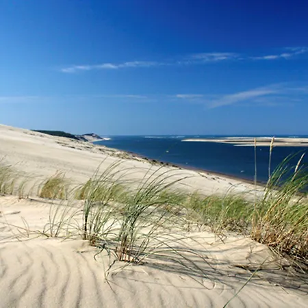 Bordeaux Sud - By Ihg 4*