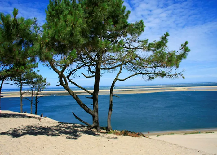 Bordeaux Sud - By Ihg 4*