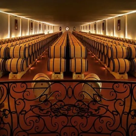 Hotel Bordeaux Sud - By Ihg 4*